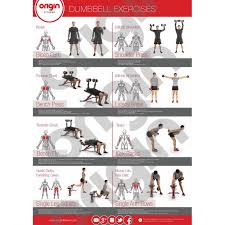 dumbbell exercise poster origin fitness