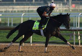 Kentucky Derby 2022: Odds, Dark-Horse ...