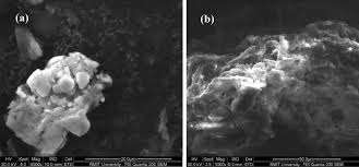 (use a fork to loosen the soil in. Synthesis And Characterization Of Rice Husk Biochar Via Hydrothermal Carbonization For Wastewater Treatment And Biofuel Production Scientific Reports