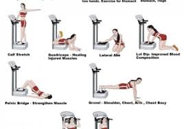 Vibration Plate Exercises Workout Videos Charts
