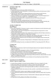 An it resume sample and technical resume template. It Director Resume Samples Velvet Jobs