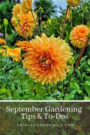 September Gardening Tips And To Dos For