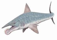 Are Sharks older than dinosaurs?
