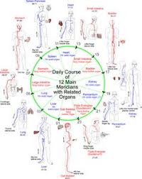 62 Best Meridian Energy Images Acupressure Massage