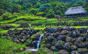 limahuli garden and preserve the best