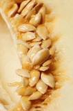 Do you take seeds out of cantaloupe?