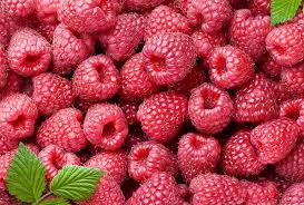 Yes, raspberries are safe for dogs to eat, but they should be given in moderation. Can Dogs Eat Raspberries Ultimate Home Life