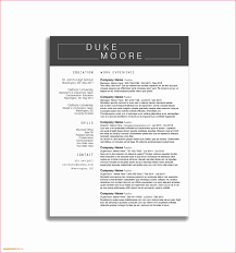 10 House Cleaning Resume Example Payment Format