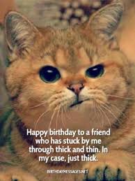I wish that all of your wildest dreams come true Funny Birthday Wishes Quotes Funny Birthday Messages