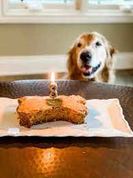 dog birthday cake brown e baker