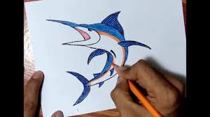 Cara menggambar ikan paus lucu | how to draw a cute whale halo kali ini kita akan belajar menggambar ikan paus yang lucu. Keren Cara Menggambar Ikan Marlin Ikan Sori Youtube