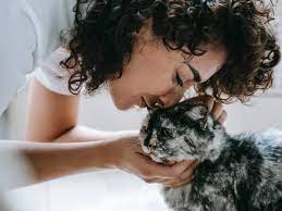 why do cats smell good 6 reasons for
