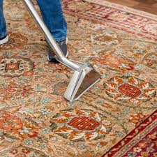 top 10 best carpet steam cleaning near