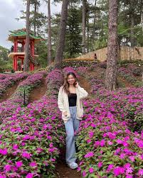 10 things to do in baguio city