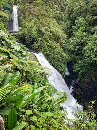 how to visit la paz waterfall gardens