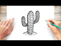 easy things to draw ideas for beginners