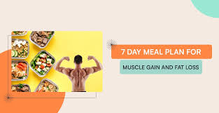 meal plan for muscle gain and fat loss