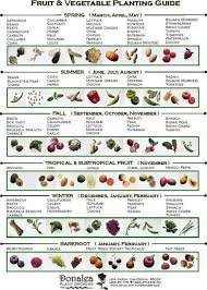When To Plant Vegetables Fall Garden