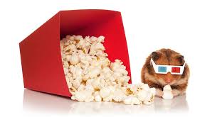 can hamsters eat popcorn a complete