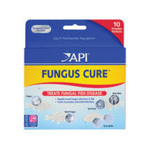 Welcome To Api Fishcare Fungus Cure