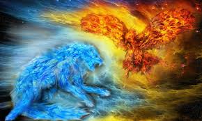 fire and ice wolf wallpapers on