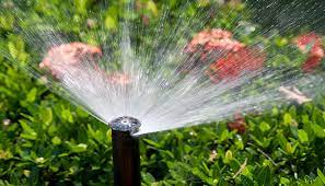 Is An Irrigation System Right For You