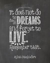 Dumbledore reminds us that having dreams is important, but focusing on your. It Does Not Do To Dwell On Dreams And Forget To Live Dumbledore Quotes Harry Potter Quotes Hp Quotes