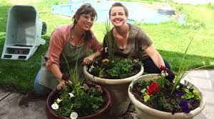 plant large outdoor flower pots