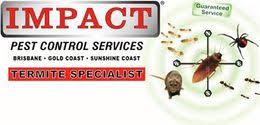 impact carpet cleaning pest control
