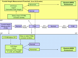 Flow Chart For Fundal Height Measurement Download