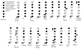 Pin Flute Fingering Chart Image On Pinterest Flute Fingering