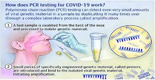 Will i need to get tested if i've been vaccinated? Google How Does Pcr Testing For Covid 19 Work 2020 5 Currently Download Scientific Diagram