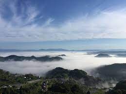 寝坊しても見られる「雲海」 岡山県北の山間部に広がる景色はまるで瀬戸内海！？ | ほ・とせなNEWS