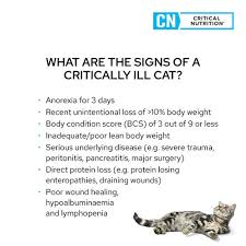 cn critical nutrition canine feline