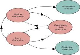 bowel dysfunction bladder