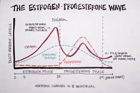 Estrogen Progesterone Female Hormones Endometriosis