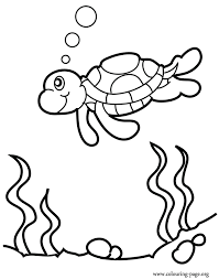 Set off fireworks to wish amer. Sea Turtle Coloring Page Coloring Home