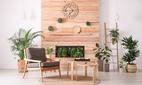 Indoor Hanging Plants For Your Home