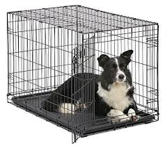 Midwest Homes For Pets Dog Crate Icrate Single Door
