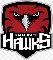 415.75 kb uploaded by papperopenna. Palm Beach Hawks Atlanta Hawks Logo Ice Hockey Team Logo Emblem Sport Png Pngegg