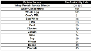 A High Protein Diet Why Its So Essential Bodybuilding