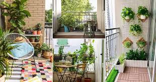 Grow Low Maintenance Balcony Plants