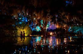 see brookgreen gardens in the glow of
