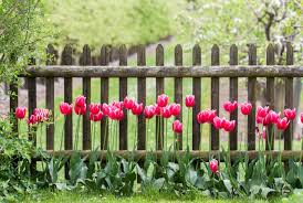 14 Garden Fence Ideas For Pretty And
