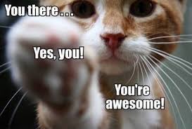You there. Yes you! You're awesome! - 9buz
