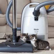 best vacuums for all kinds of pet hair