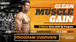 clean muscle gain program overview by