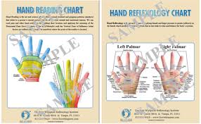 Hand Reading Hand Reflexology Charts Digital