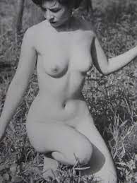 昭和のアルバム1冊 女性ヌードモデル写真 190枚以上ありアート芸術裸体の入札履歴 - 入札者の順位