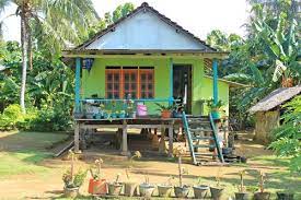 What Is Stilt House In India And How Is